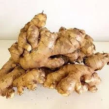 Bentong Ginger 文冬姜 from KB Fresh Seafood and Vegetables Wholesaler